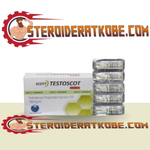 testoscot køb online i Danmark - steroideratkobe.com